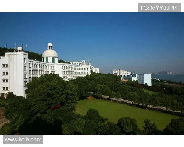 南京排球队在联合会杯中的辉煌突破与奋斗历程全景回顾