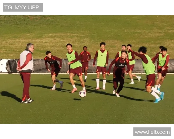 北京羽毛球队边路渗透战术解析与实战应用探讨