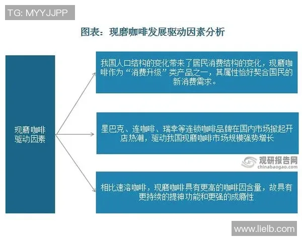 北京网球队节奏分析：揭示比赛中的数据趋势与表现特点