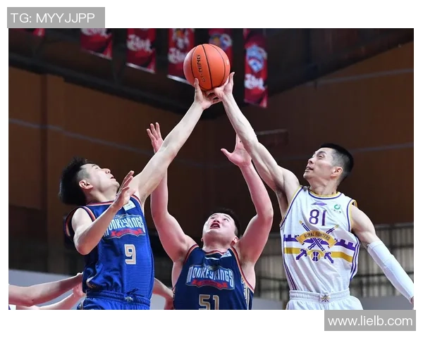 南京篮球队深度解析：当前状态与未来展望的全景探秘